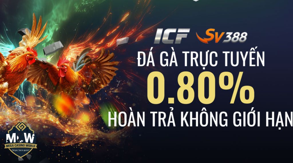 Sau Khi Đăng Ký MCW Nên Làm Gì?